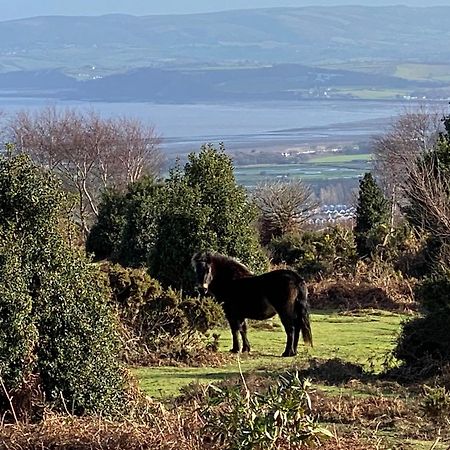 Exmoor Retreat On Two Moors Way Withypool Экстерьер фото