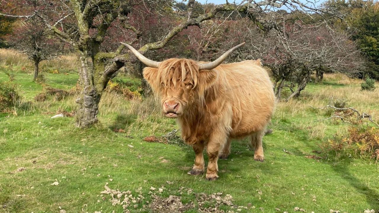 Exmoor Retreat On Two Moors Way Withypool Экстерьер фото