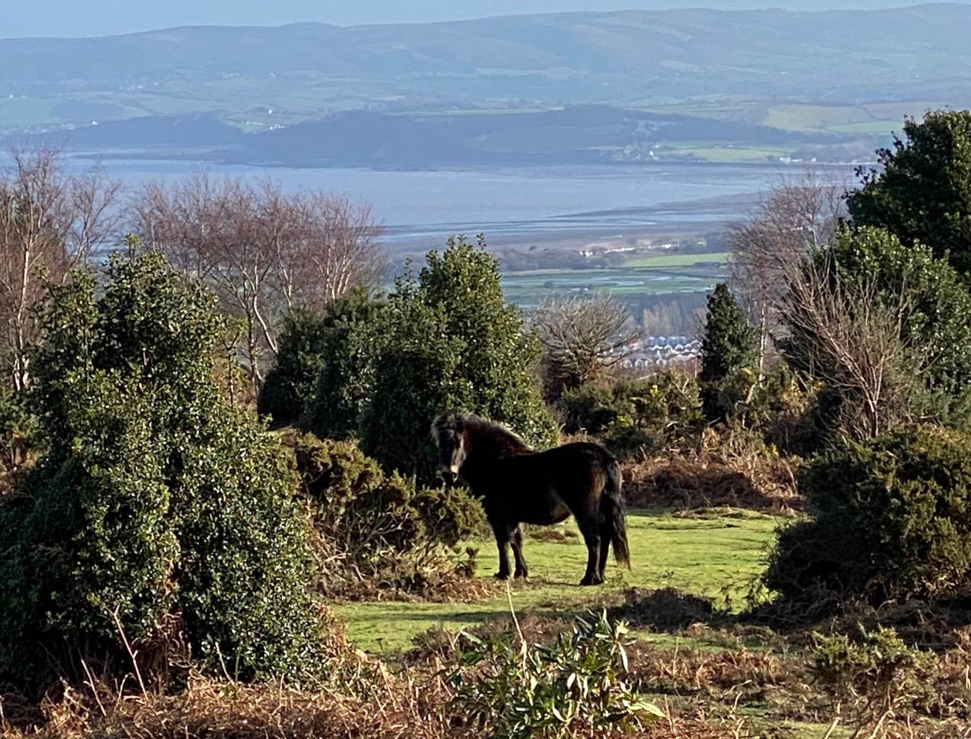 Exmoor Retreat On Two Moors Way Withypool Экстерьер фото
