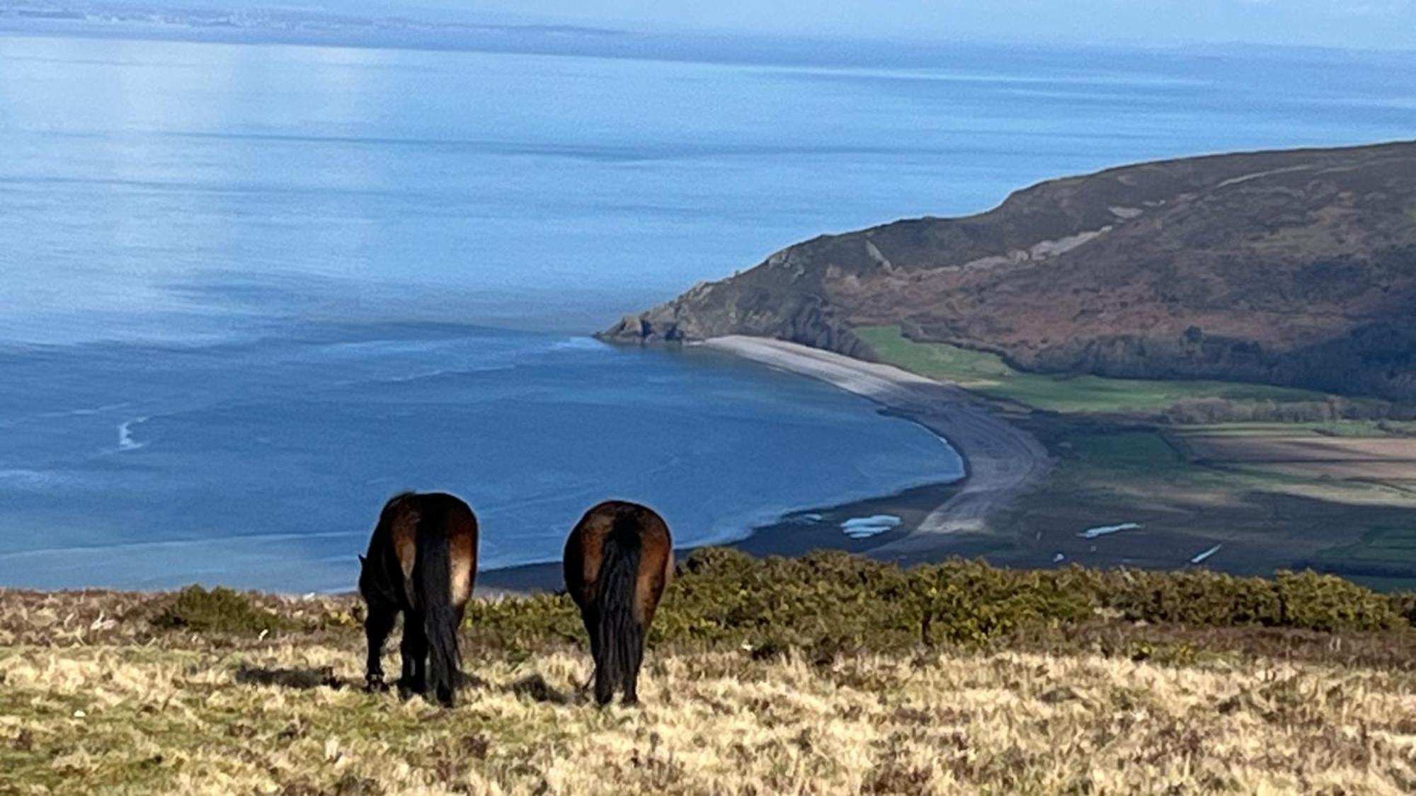 Exmoor Retreat On Two Moors Way Withypool Экстерьер фото