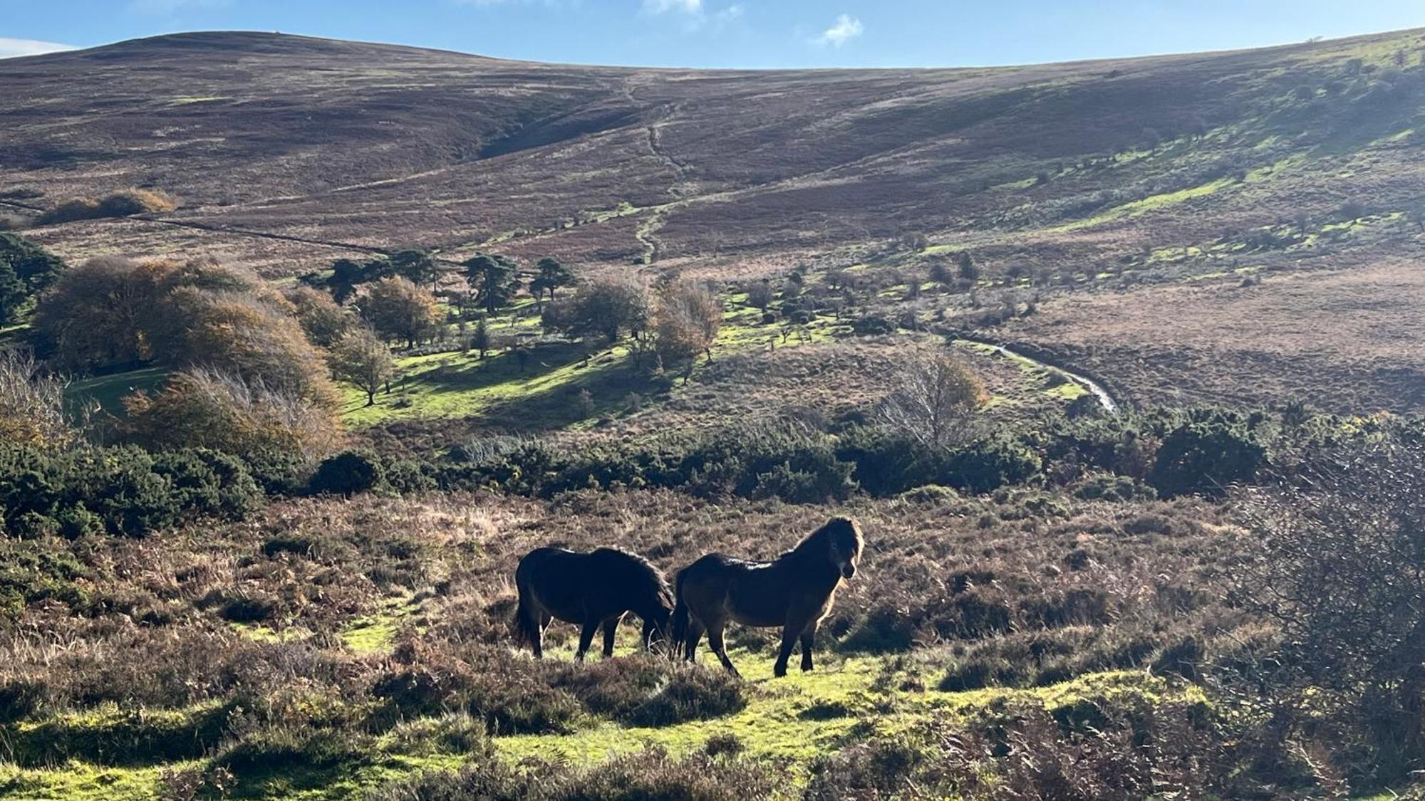 Exmoor Retreat On Two Moors Way Withypool Экстерьер фото